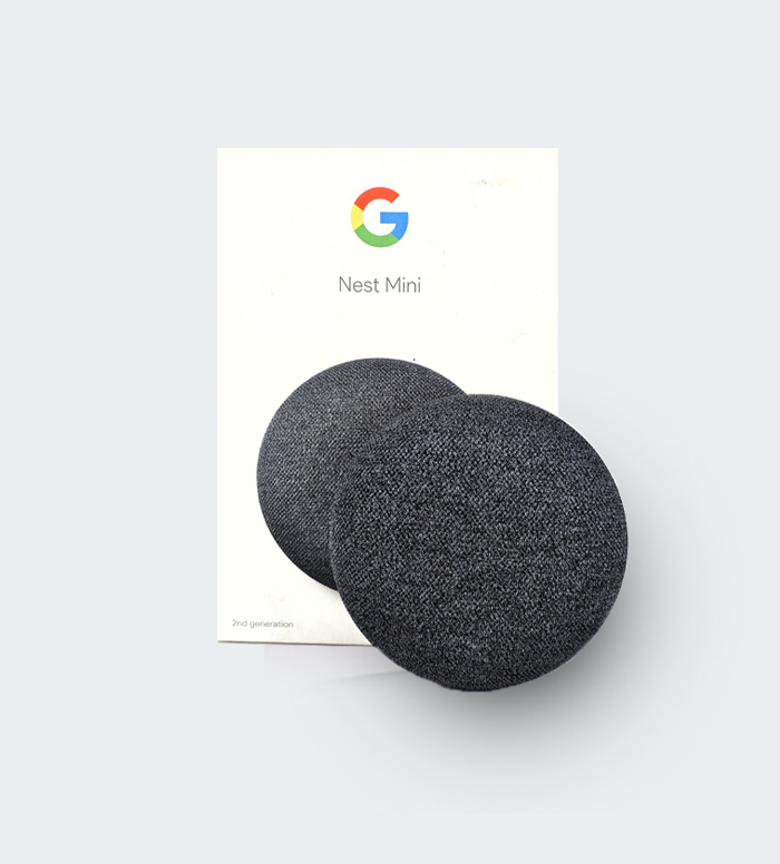 Google Smart MINI1